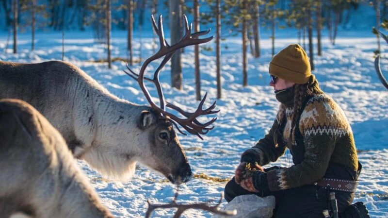 Ivalo: Magical Moments at the Reindeer Farm - What Reviewers Are Saying
