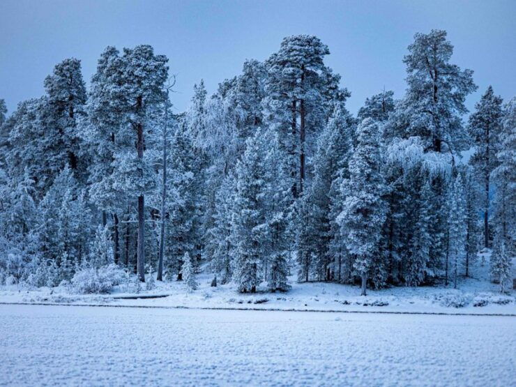 Ivalo: Northern Lights Holiday in Northern Lapland - Experience Highlights