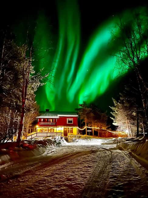 Ivalo: Private Farm Visit & Husky Experience - Good To Know