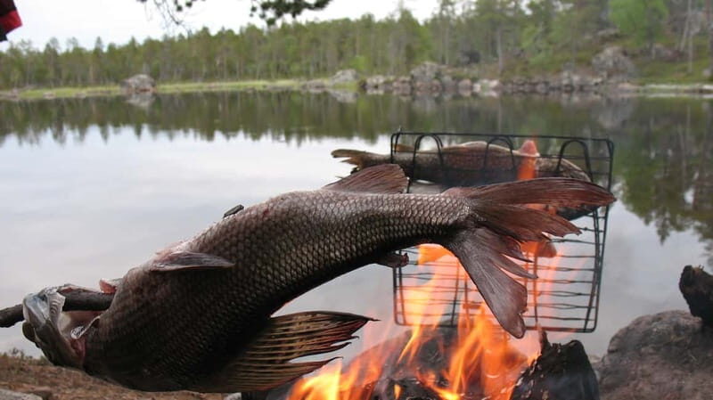 Ivalo: Summer Day/Evening on a Lake in the Wild - The Experience in Detail
