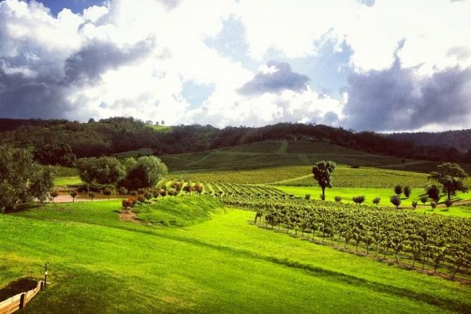 Ivanhoe Wines: Trip Advisor Wine Masterclass With Cheese Plate - The Sum Up