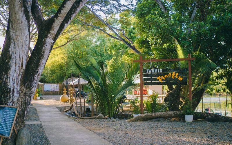 Iwahig Firefly Watching Tour in Puerto Princesa - What to know before you book