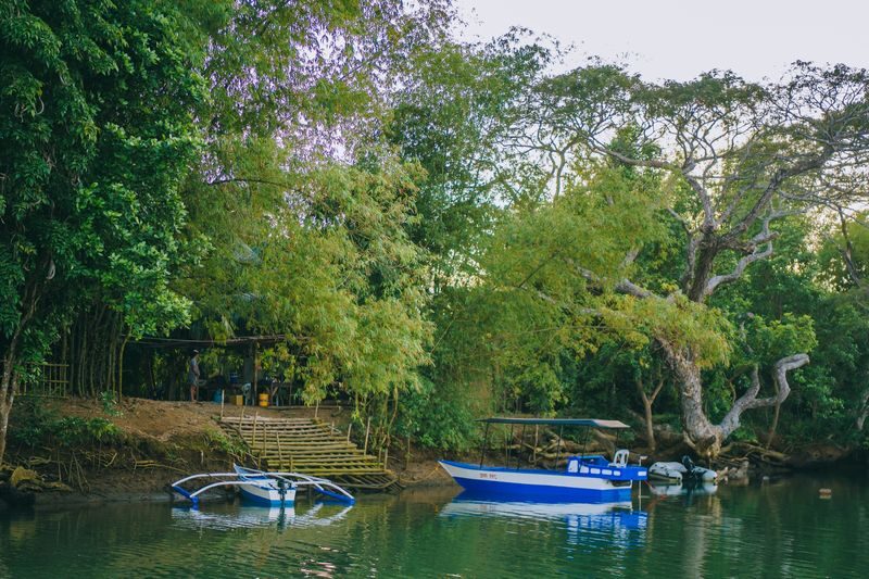 Iwahig Firefly Watching Tour in Puerto Princesa - The river is the reason to go