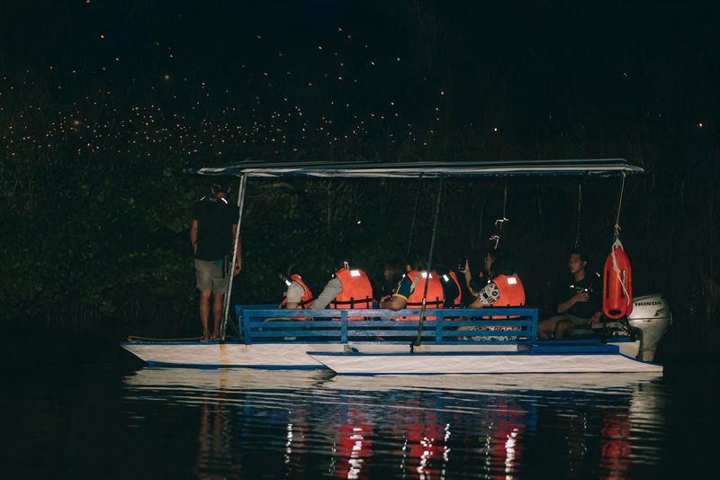 Iwahig Firefly Watching Tour in Puerto Princesa - What the guide adds to the darkness