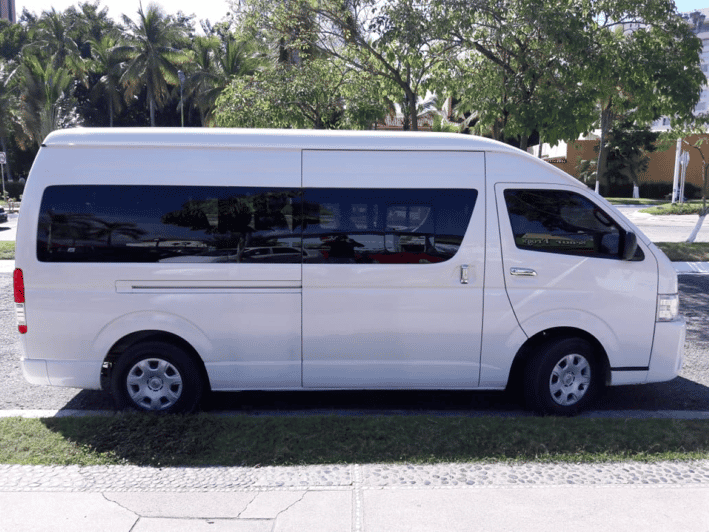 Ixtapa: Airport Transfer in a 10-Passenger Van - Comfortable and Reliable Transportation