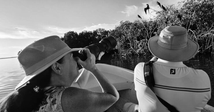 Ixtapa: Aztlan Birdwatching Adventure - Highlights of the Experience