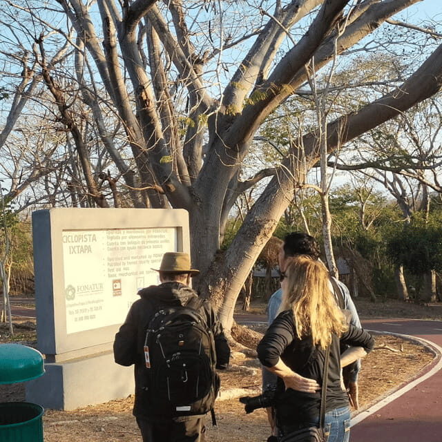 Ixtapa: Bird Watching Tour with Round-Trip Transportation - What to Expect from the Ixtapa Bird Watching Tour