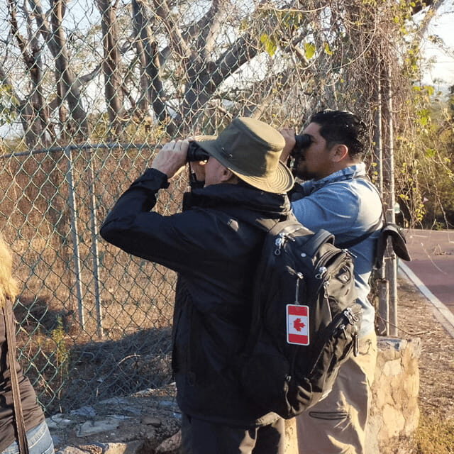 Ixtapa: Bird Watching Tour with Round-Trip Transportation - The Experience in Detail