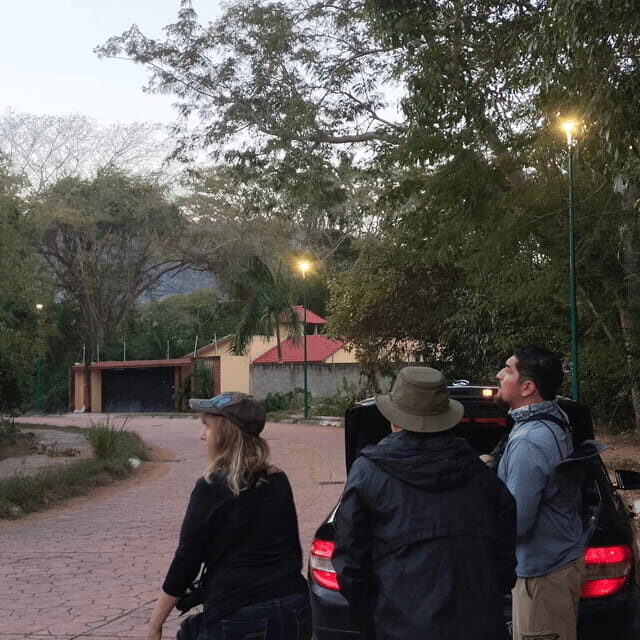 Ixtapa: Bird Watching Tour with Round-Trip Transportation - Final Thoughts