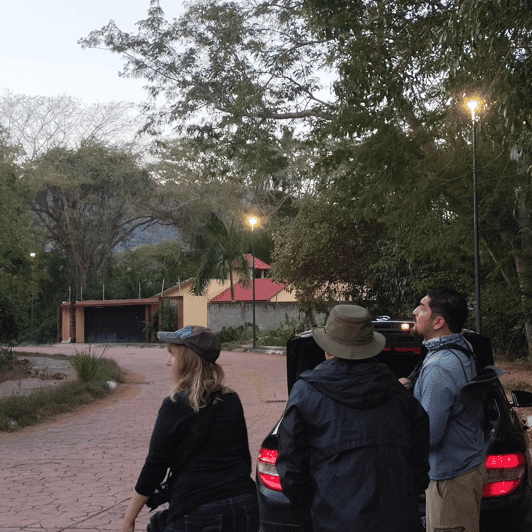 Ixtapa: Bird Watching Tour With Round-Trip Transportation - Discovering Diverse Bird Species
