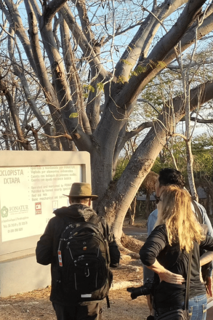 Ixtapa: Bird Watching Tour With Round-Trip Transportation - Aztlan Park Bird Sightings