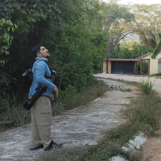 Ixtapa: Bird Watching Tour With Round-Trip Transportation - Restrictions and Guidelines