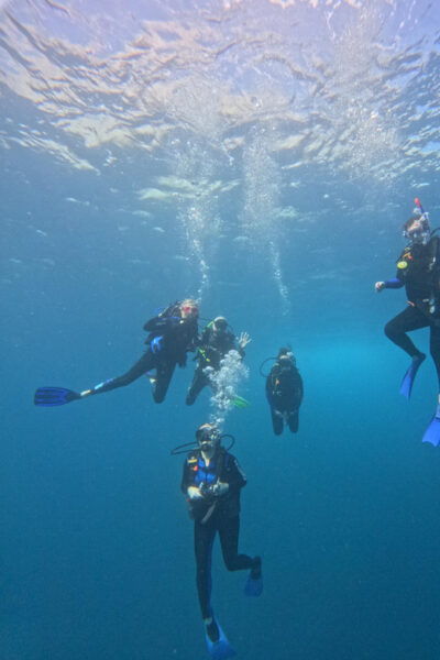 Ixtapa: Discover Diver Course - Included Amenities