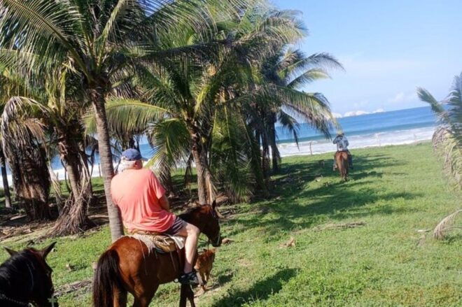 Ixtapa: Horse Adventure in Zihuatanejo - Scenic Ride