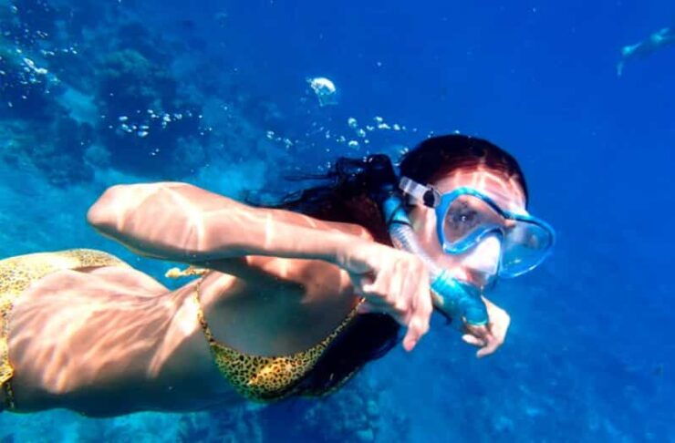 Ixtapa: Horseback Riding & Snorkeling - Good To Know
