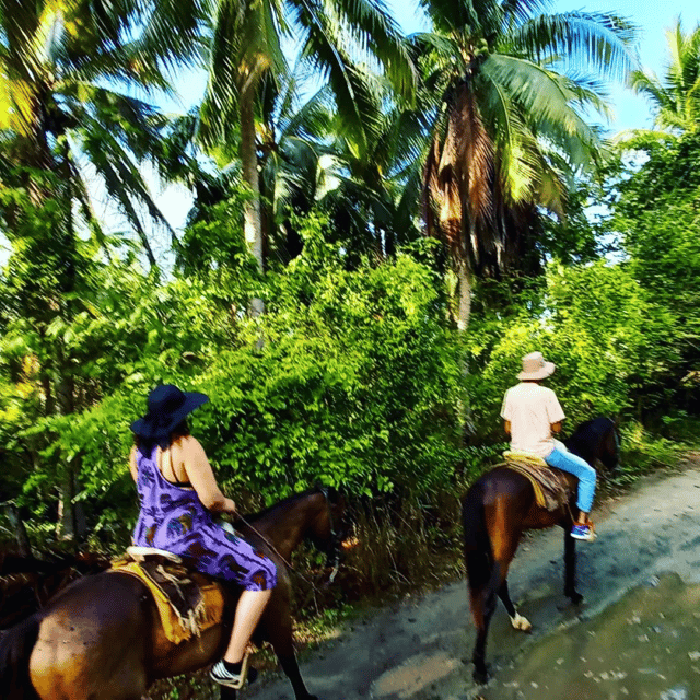 Ixtapa: Horseback Riding Tour Along Playa Larga - Frequently Asked Questions