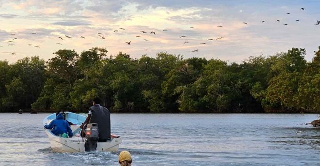 Ixtapa: Island Adventure - Boat to Ixtapa Island