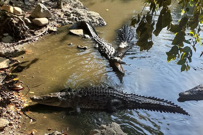 Ixtapa Island Tour - Tour Overview
