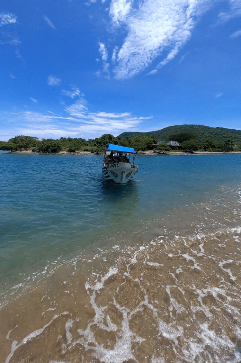 Ixtapa: Las Gatas Beach Adventure - Transportation Arrangements
