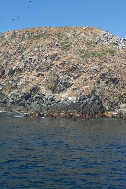 Ixtapa: Marine Life Exploration - Explore Rugged Islands