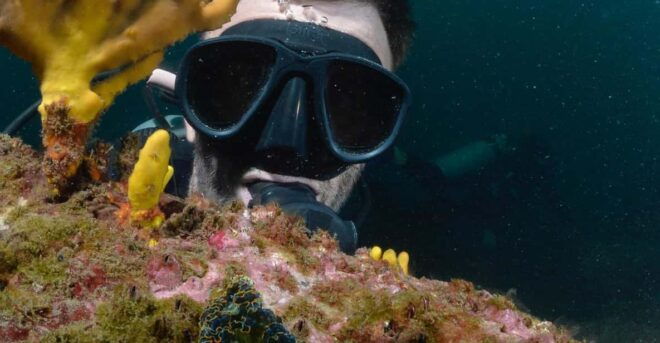 Ixtapa: Nighttime Underwater Exploration at Piedra Solitaria - Group Size and Languages