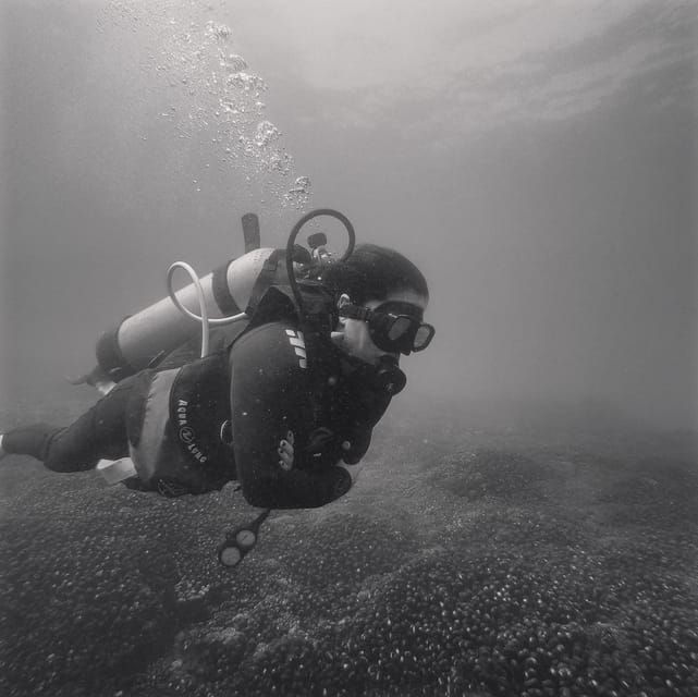 Ixtapa: Nighttime Underwater Exploration at Piedra Solitaria - Diving Highlights
