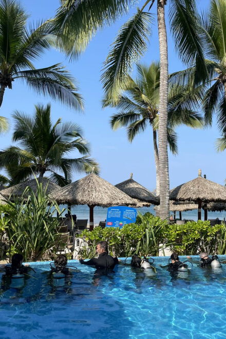 Ixtapa: Open Water Diver Course - Instruction and Experience