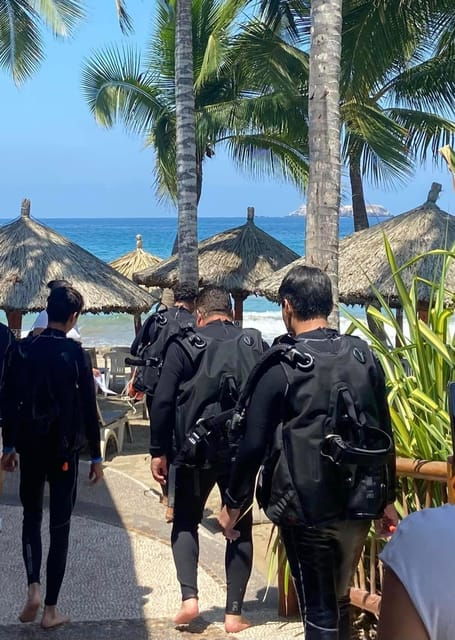 Ixtapa: Open Water Diver Course - Certification and Next Steps