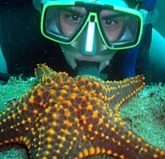 Ixtapa: Underwater Adventures in Zihuatanejo - Good To Know