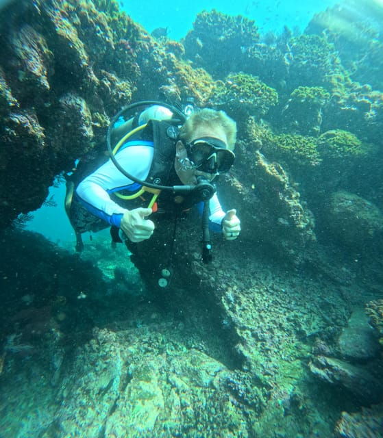 Ixtapa: Underwater Adventures in Zihuatanejo - Diverse Marine Life Encounters