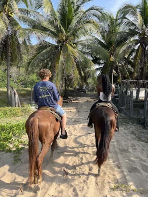 Ixtapa-Zihuatanejo: Horseback Riding Tour - Why This Tour Is a Good Fit