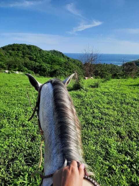 Ixtapa-Zihuatanejo: Horseback Riding Tour - FAQ