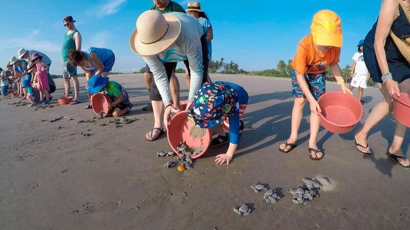 Ixtapa-Zihuatanejo: Turtle Release Tour. - Good To Know