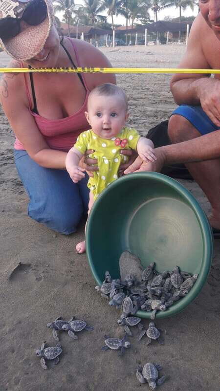 Ixtapa-Zihuatanejo: Turtle Release Tour. - Practical Details & Logistics