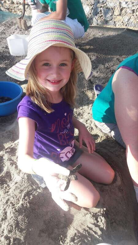 Ixtapa-Zihuatanejo: Turtle Release Tour. - Why This Tour Is a Great Choice