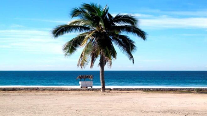 Ixtapa Zihuatanejo: Van Charters - Booking Specifics