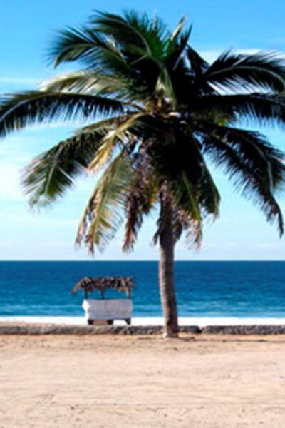 Ixtapa Zihuatanejo: Van Charters - Cancellation Policy