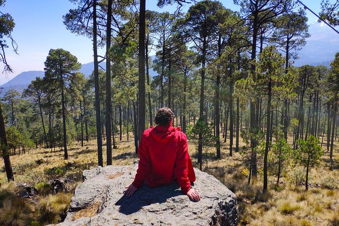 Ixtazihuatl Volcano Small-Group Scenic Jeep Tour From Puebla  - Mexico City - Common Questions