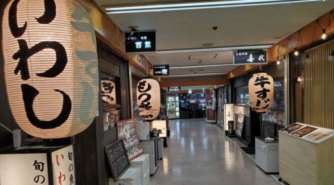 Izakaya Tour Around Deep Shimbashi With a Guide - Activity Description