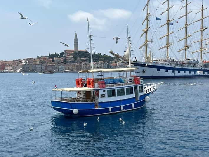 Izlet brodom iz Vrsara: Zalazak sunca i druenje s delfinima - Good To Know