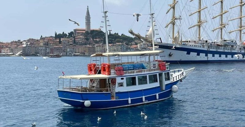 Izlet brodom iz Vrsara: Zalazak sunca i druenje s delfinima - Is This Tour Worth It?