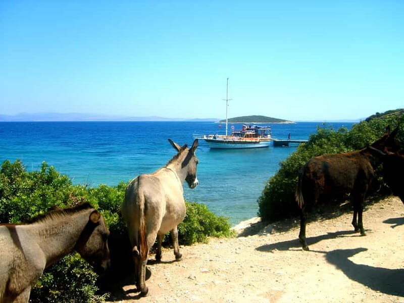 Izmir: Cesme Boat Tour and Alacati Visit - The Experience from the Traveler’s Perspective