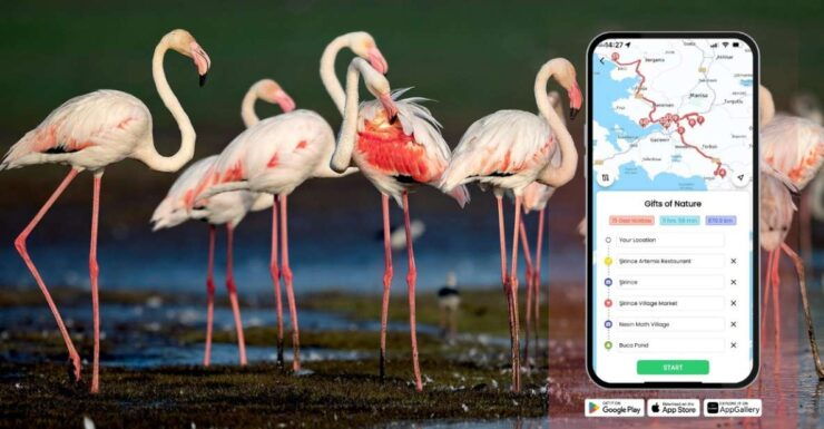 İzmir: Nature's Treasures With GeziBilen Digital Guide - Activity Details