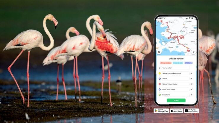 İzmir: Nature's Treasures With GeziBilen Digital Guide - Experience Highlights