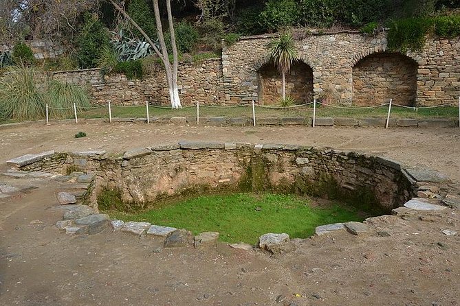 Izmir Shore Excursion: Private Tour to Ephesus and the House of Virgin Mary - Reviews