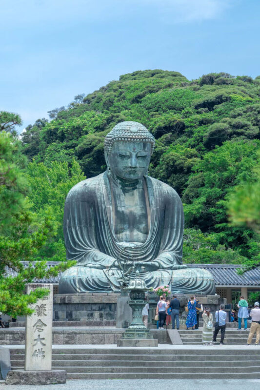 Izu Atami Fireworks Festival & Izu Omuroyama tour - Guides, timing, and what the day feels like