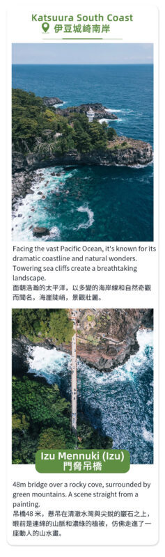 Izu Atami: Mount Omuro (including cable car)/Cactus Zoo & Jogasaki Coast & Kadowaki Suspension Bridge Day Tour (Small Group with complimentary Sea View Train Ticket) - What the price covers, and what it does not