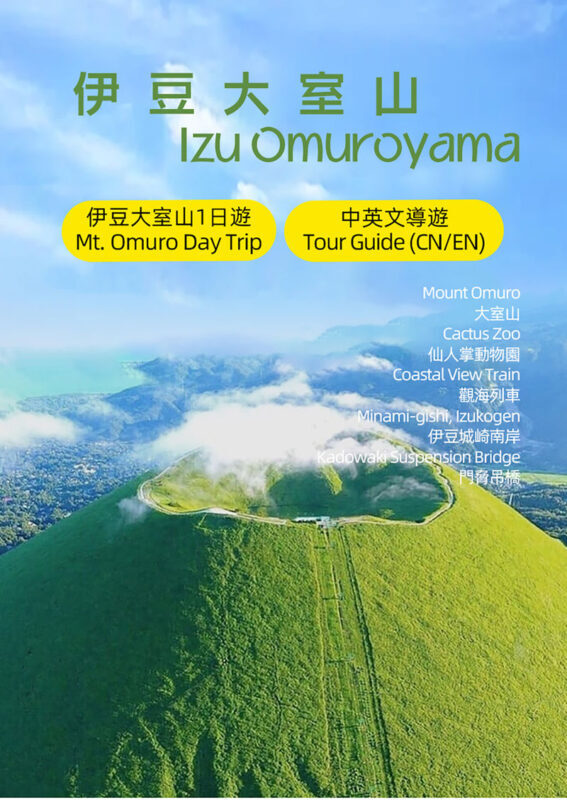 Izu Atami: Mount Omuro (including cable car)/Cactus Zoo & Jogasaki Coast & Kadowaki Suspension Bridge Day Tour (Small Group with complimentary Sea View Train Ticket) - Timing, comfort, and who will enjoy the day