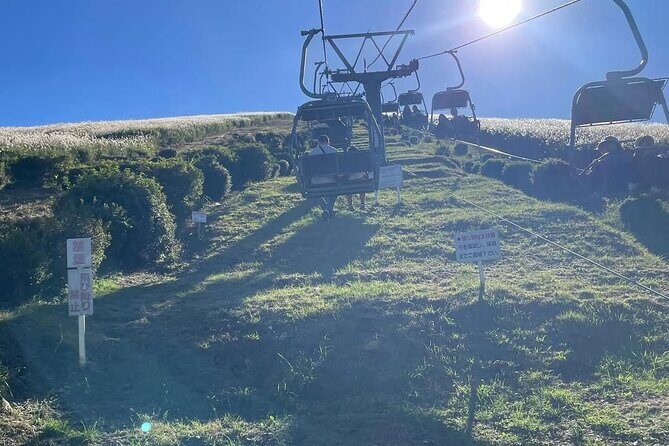 Izu Day Trip: Omuroyama & Coast 9-Guest Small Group - Final Thoughts