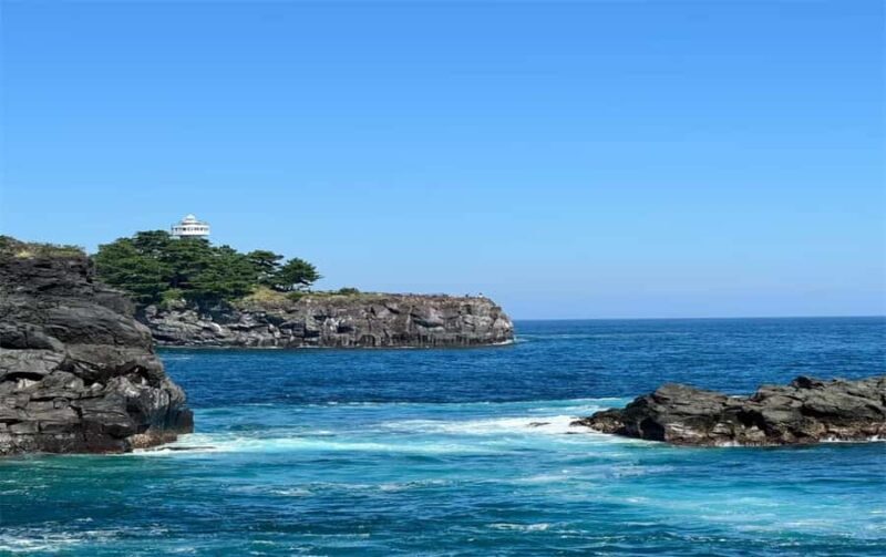 Izu: Ito Coast Grotesque & Doll Museum Day Trip From Tokyo - Who Will Love This Tour?